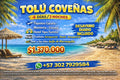 TOLU COVEÑAS